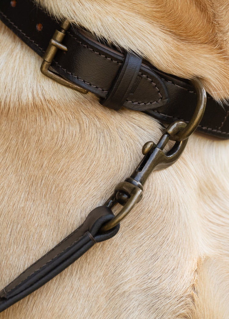 Ranger Leather clipped 4ft (appx) lead - Mahogany