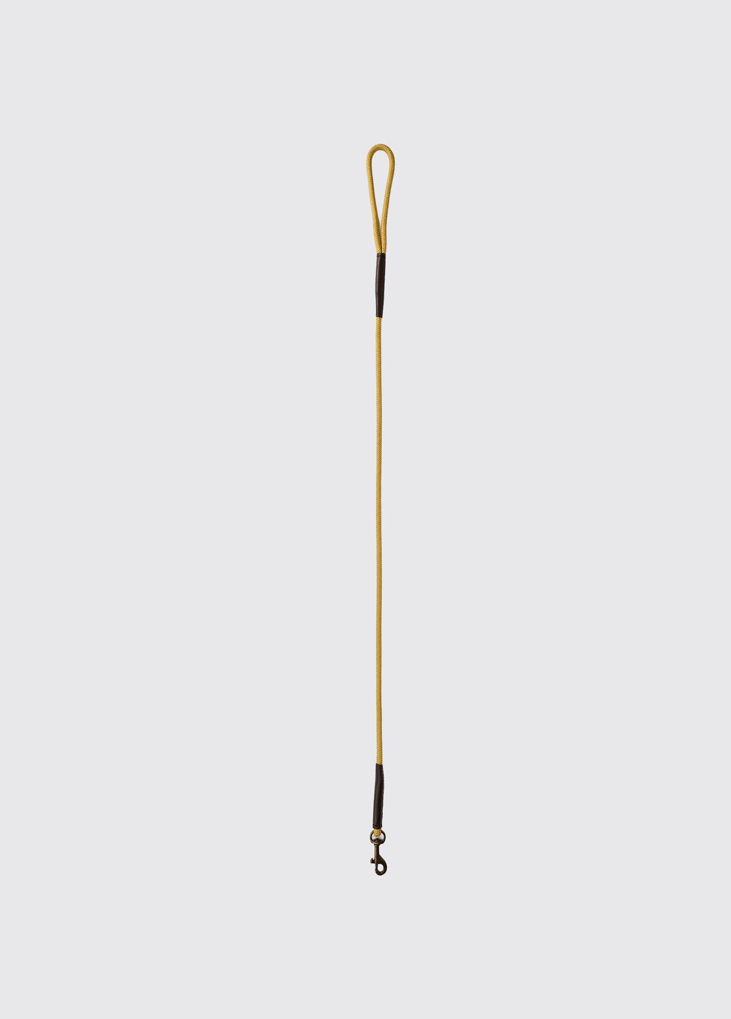 Charlie 4ft (appx) Nylon Rope dog lead - Gold