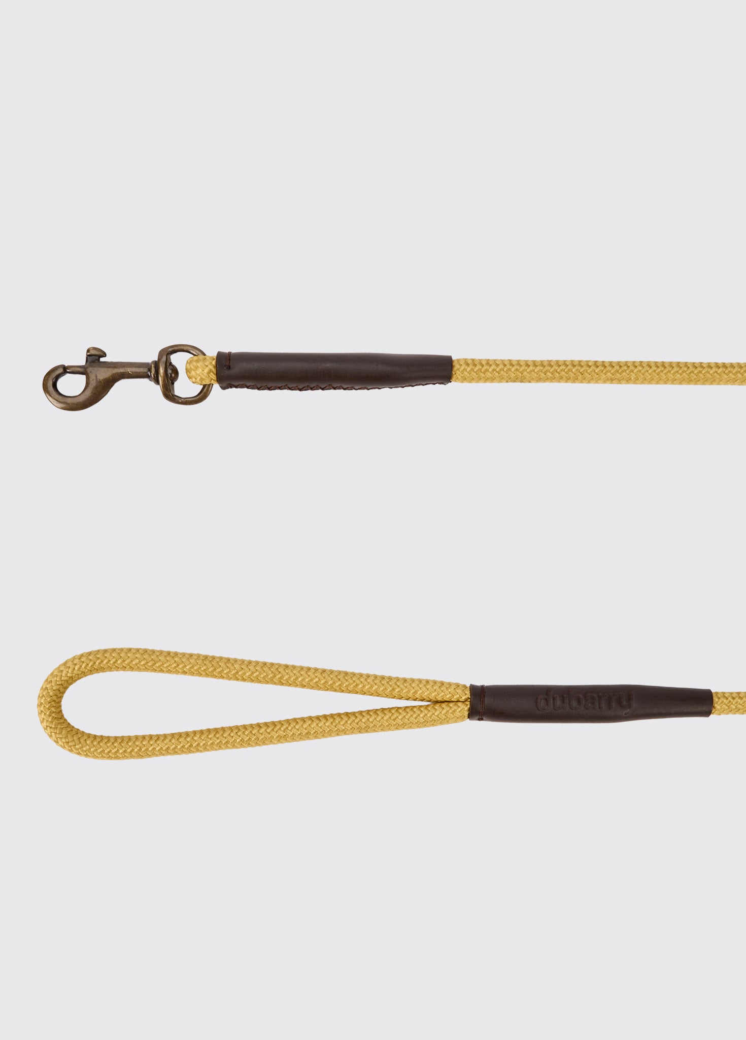 Charlie 4ft (appx) Nylon Rope dog lead - Gold