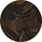  Brown Camo
