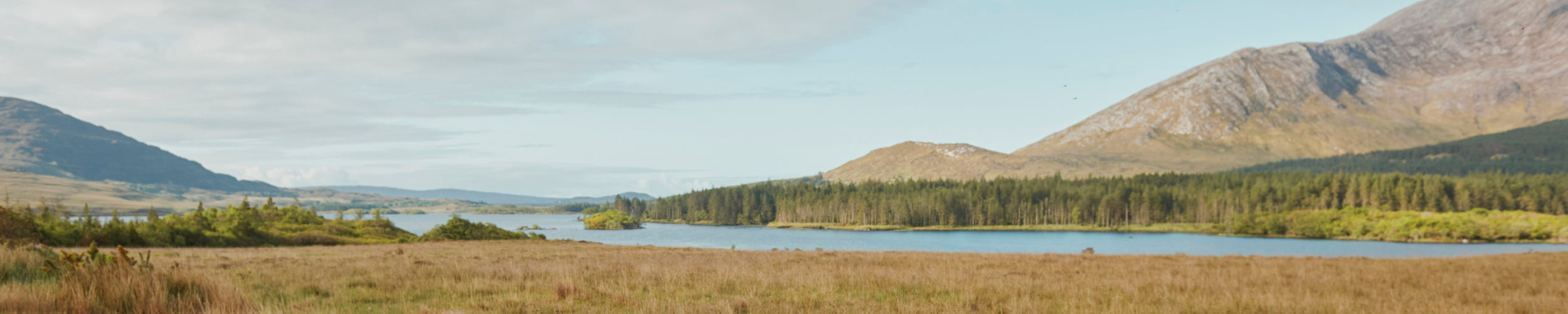 Wide Image of the Irish landscape image with blue skies, mountains, forest, and a lake.