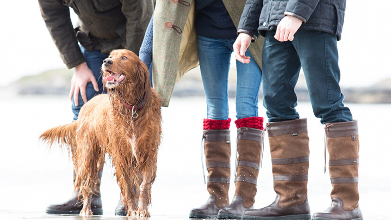 frost bestikke Følge efter Top Dog | Dubarry Boots